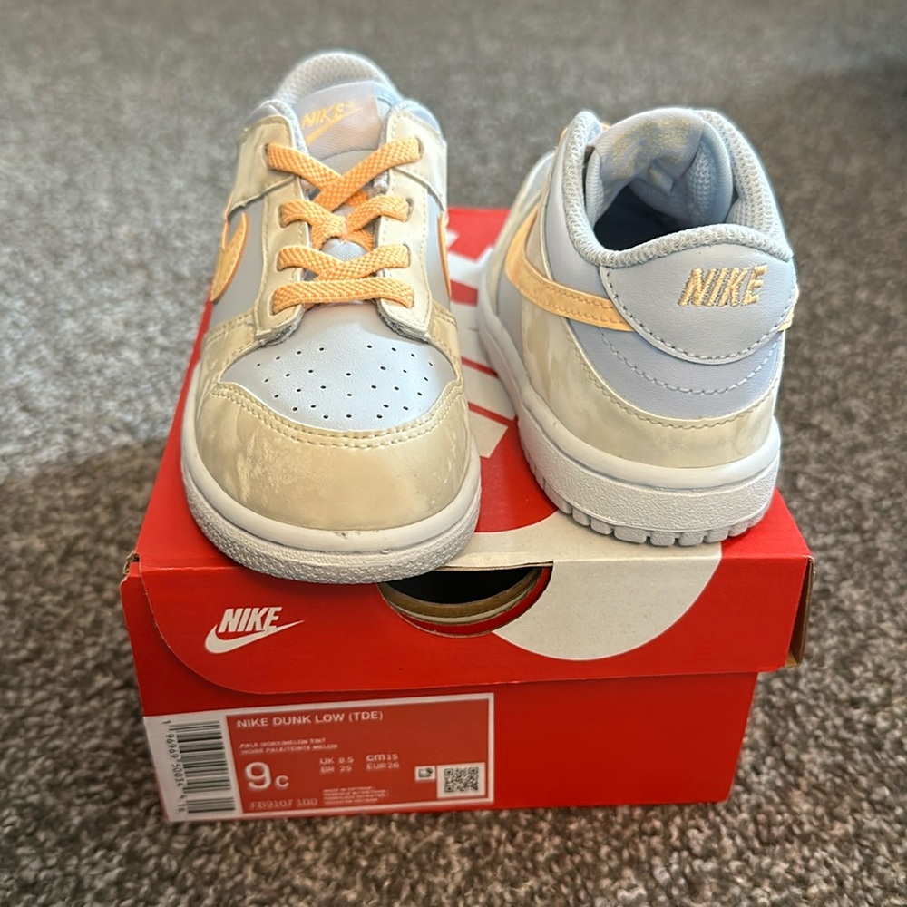 BRAND  NEW Nike Dunk Low